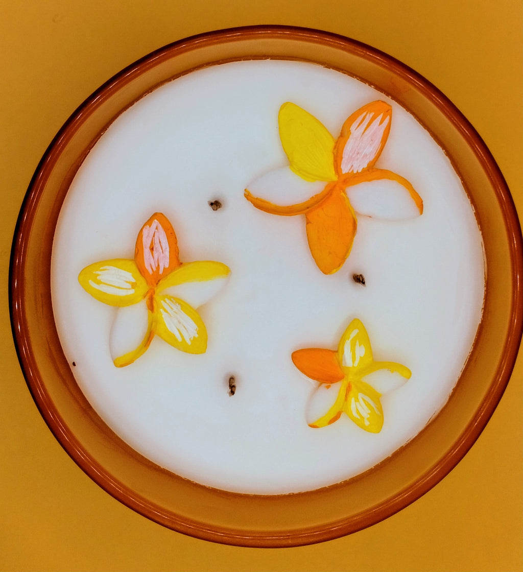 Large Glass - Honeysuckle & Vanilla Candle