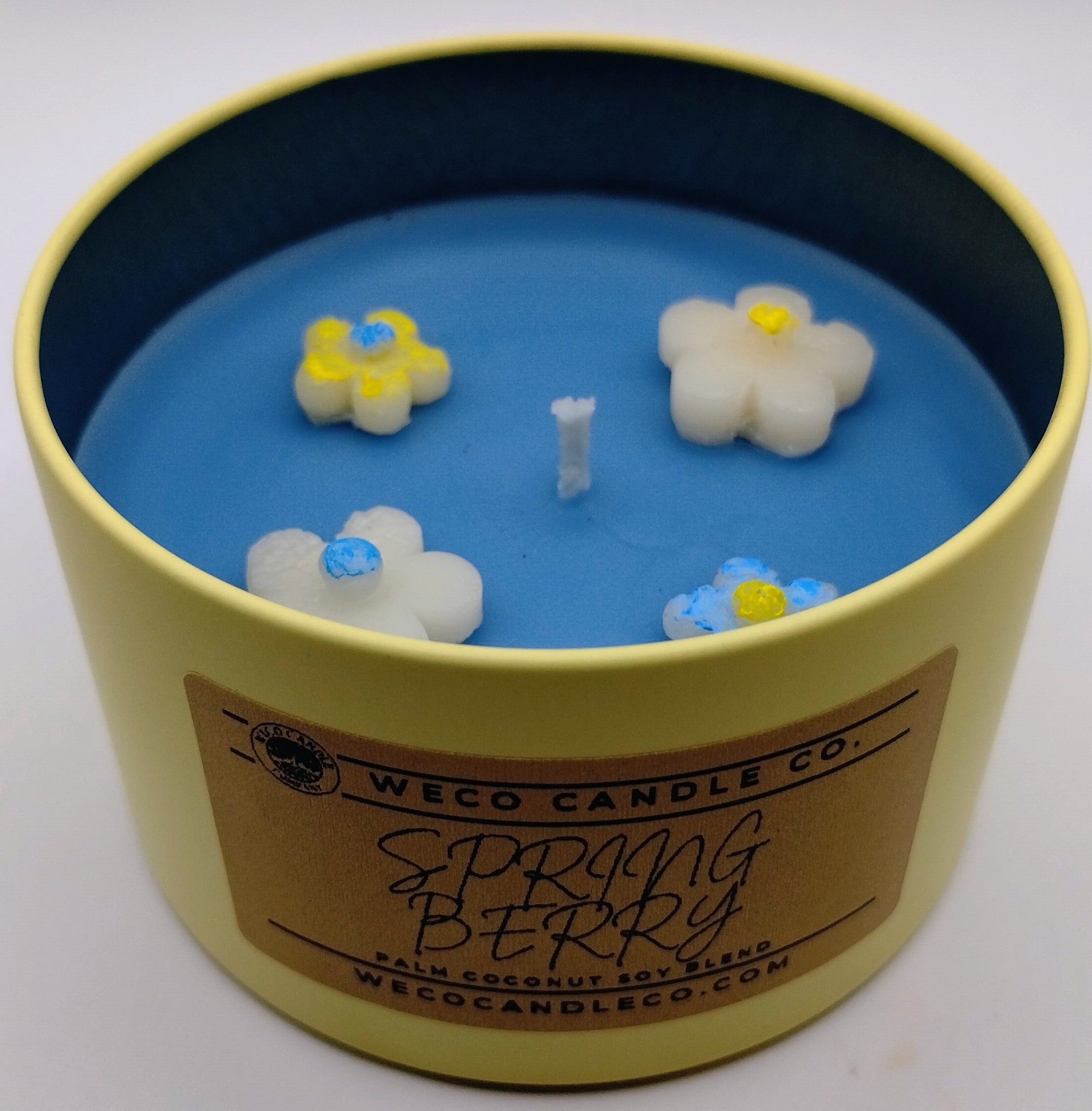 Medium - Spring Berry Candle