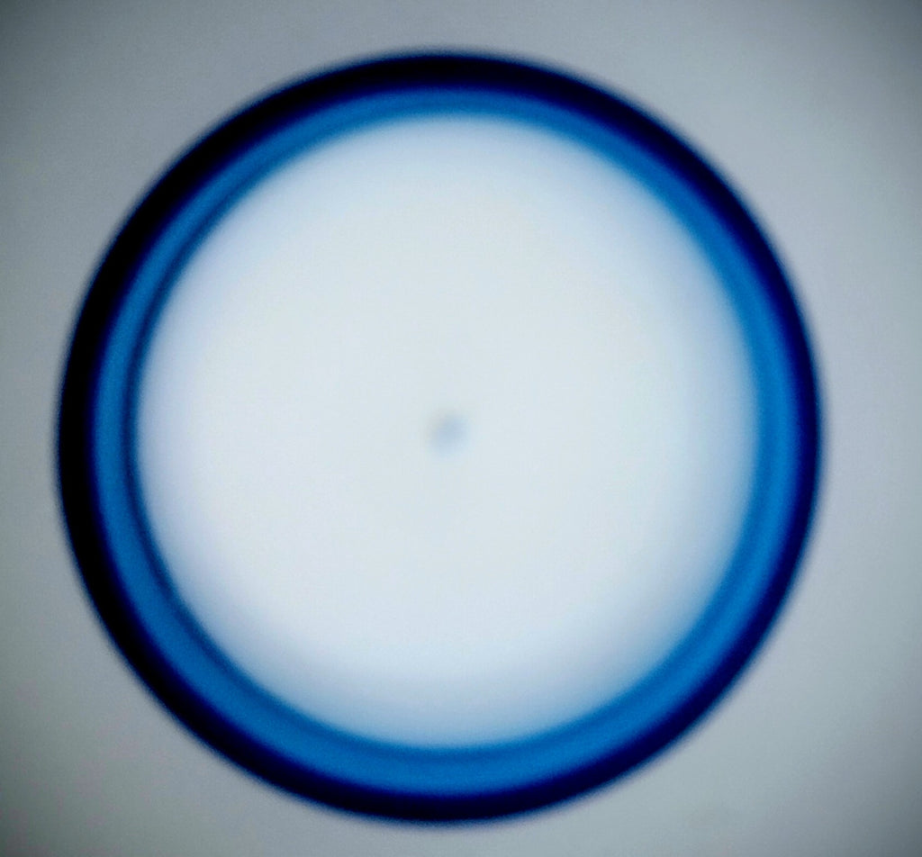 Blue Bergamot Candle