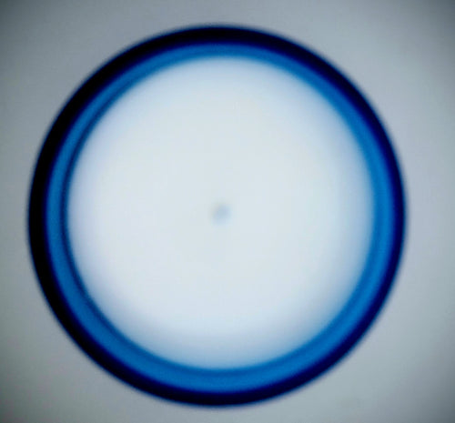 Blue Bergamot Candle