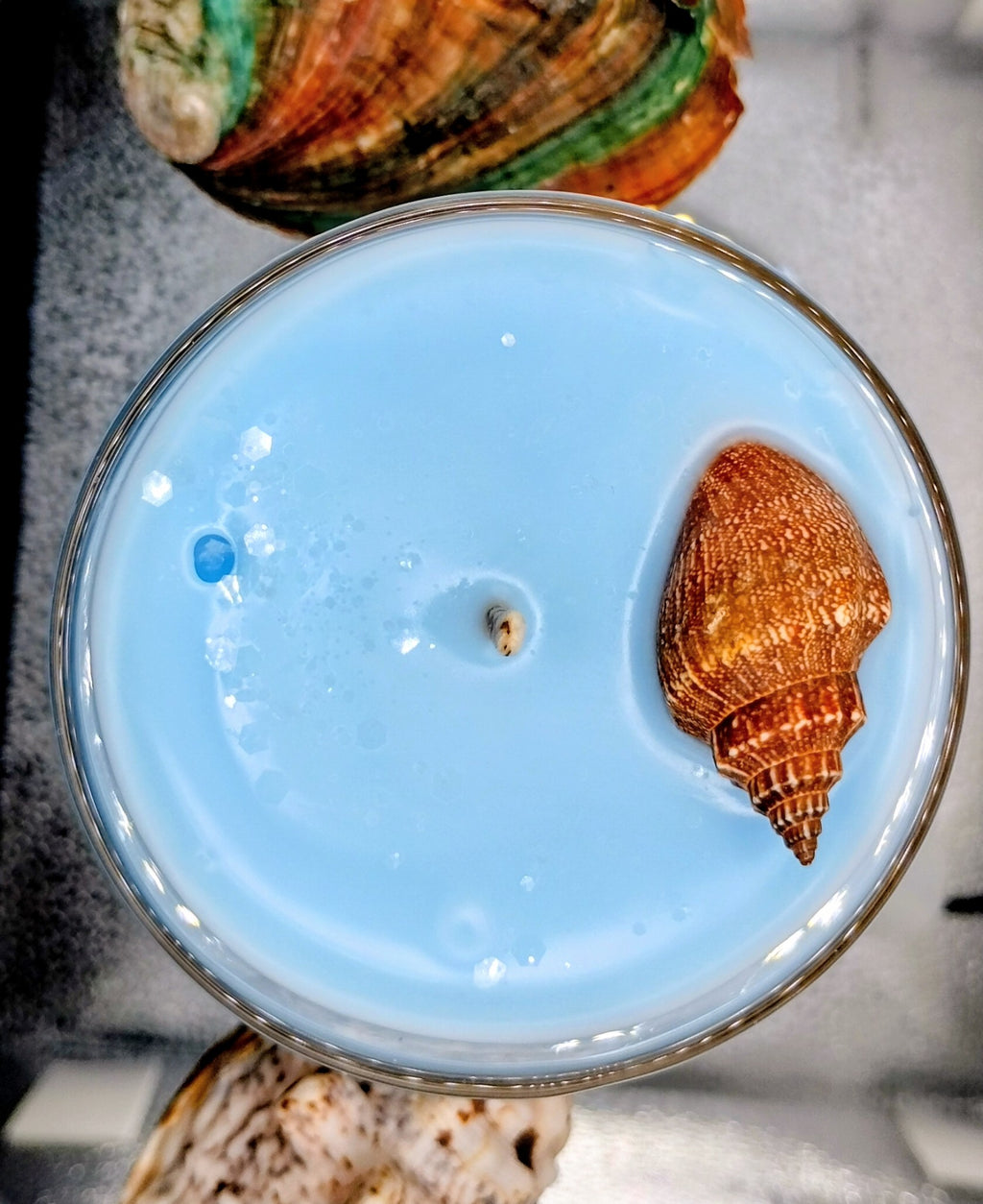 🐢 Ocean Vibes Candle